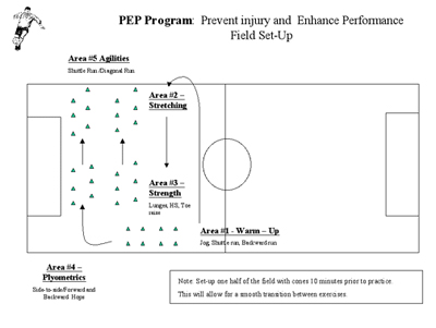 PEP-Illustration B