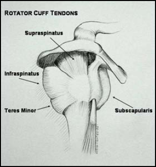 RC-Illustration A